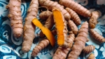 Eating Turmeric May Help Knee Arthritis: What to Know About Food vs. Supplements